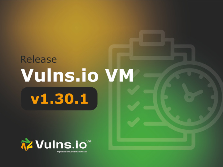 Вышла новая версия системы Vulns.io Enterprise VM 1.30.1